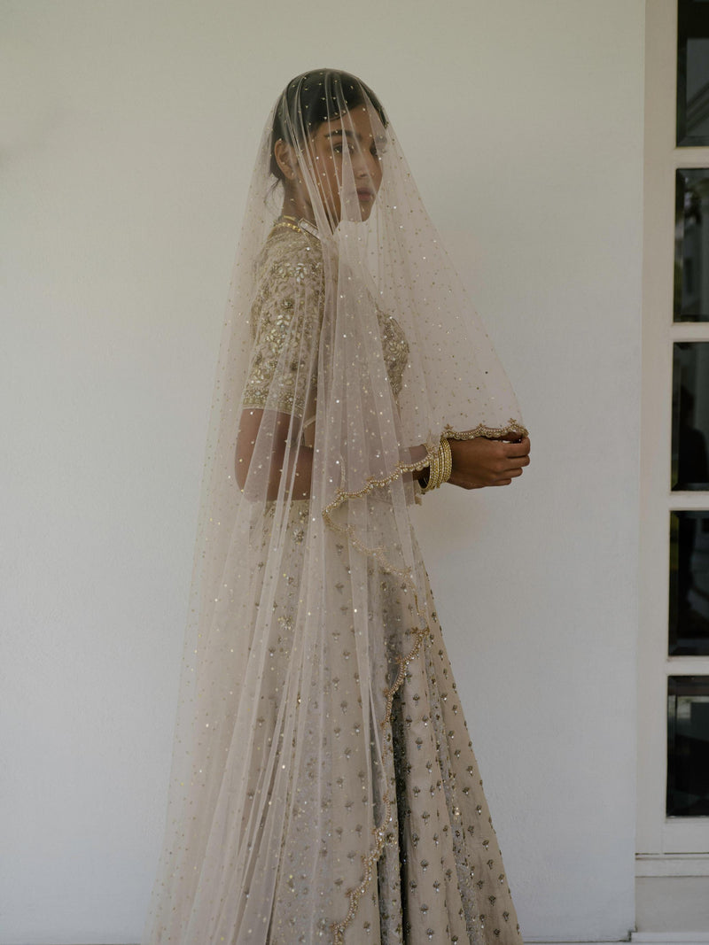 Light Pink Net Veil