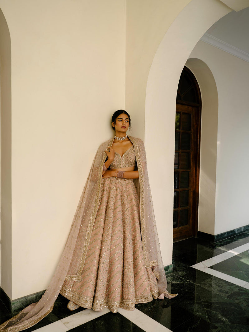 Chevron & Jaal Panel Lehenga