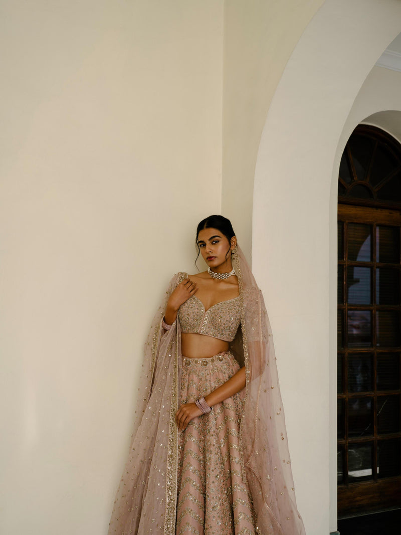 Chevron & Jaal Panel Lehenga