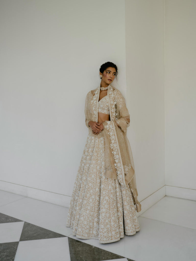 Pearl & Cutdana Lehenga