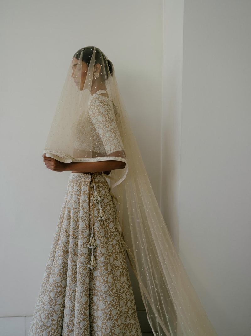 Beige Net Veil