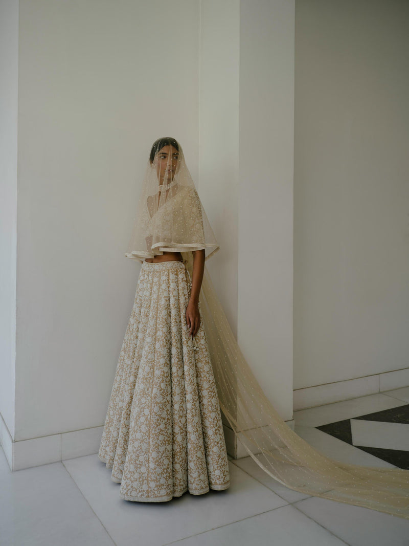 Beige Net Veil