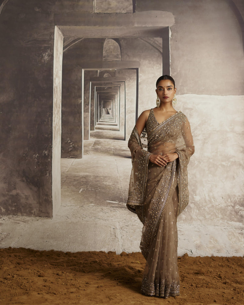 Organza Saree With Sequin & Cutdana Embroidery