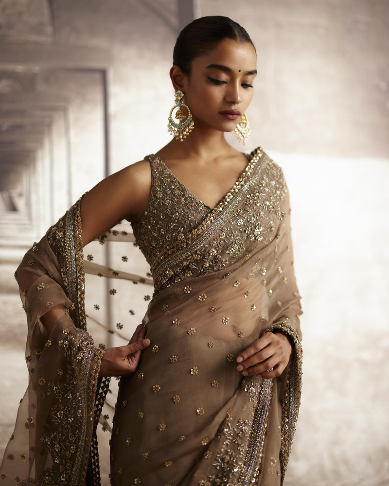 Organza Saree With Sequin & Cutdana Embroidery