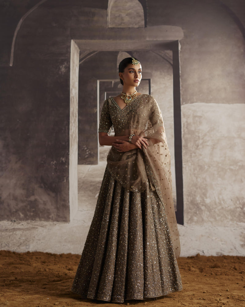 Cutdana & Sequin Jaal Lehenga