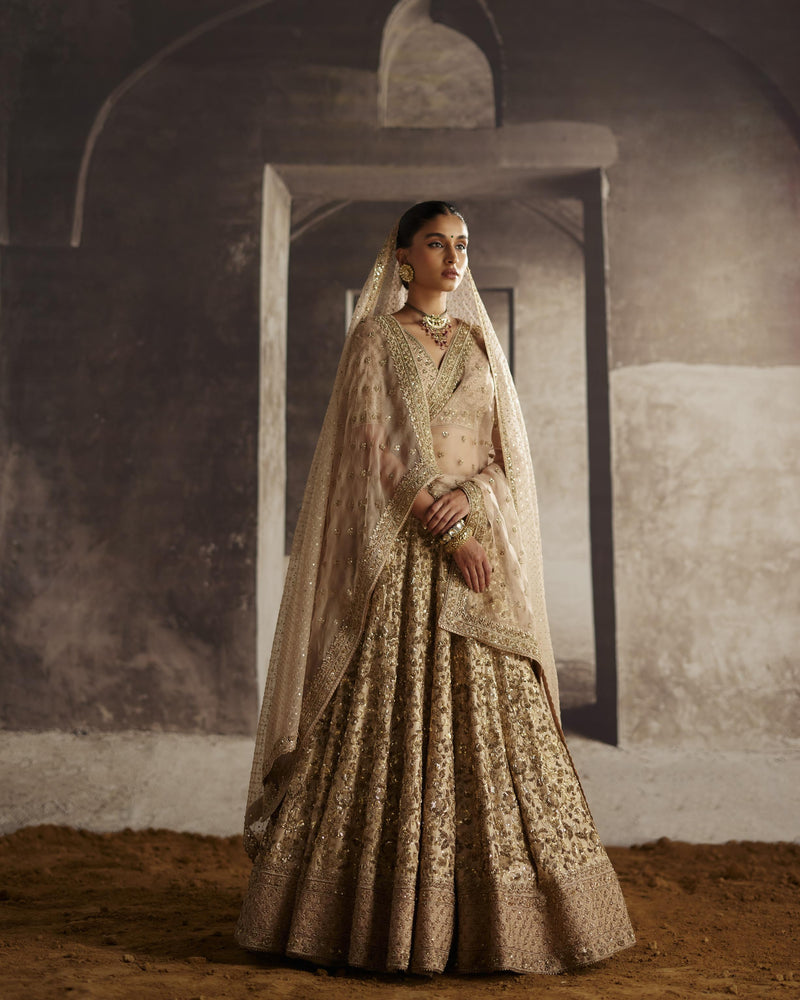 Ivory-Gold Sequin Jaal Lehenga