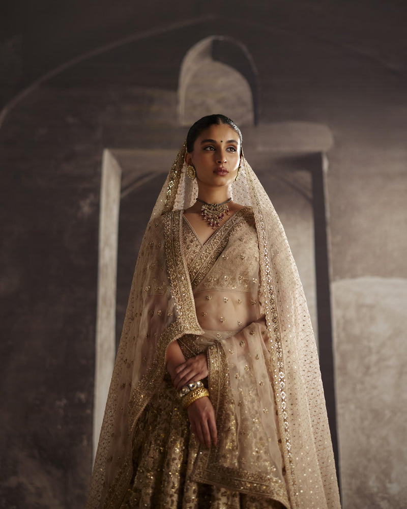 Ivory-Gold Sequin Jaal Lehenga