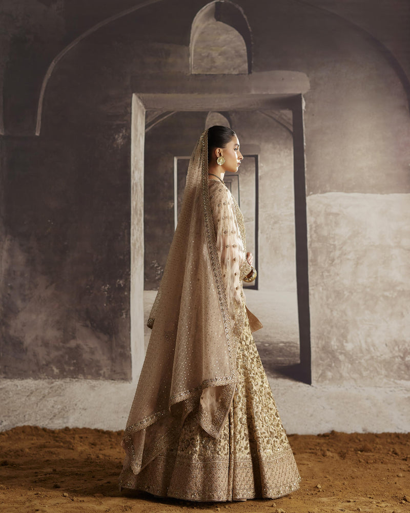 Ivory-Gold Sequin Jaal Lehenga