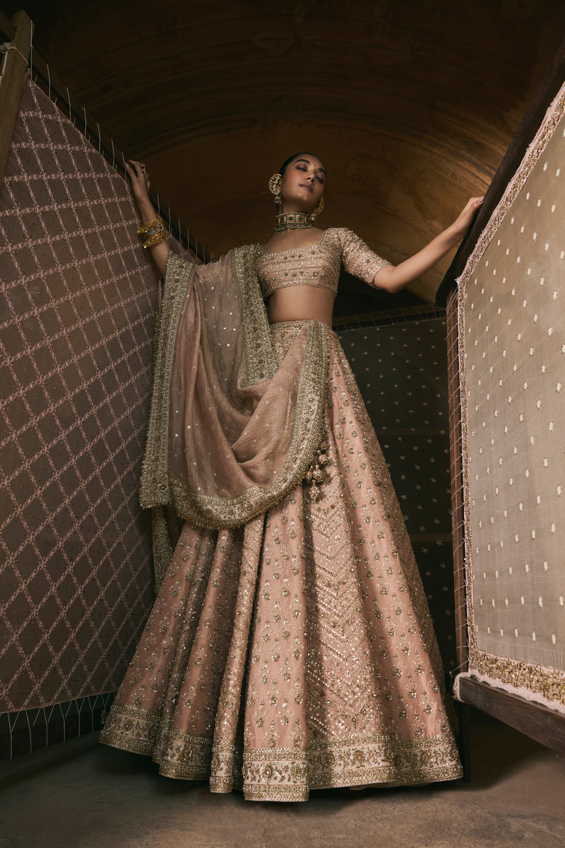 Rose Pink Panels Lehenga