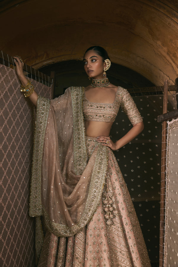 Rose Pink Panels Lehenga