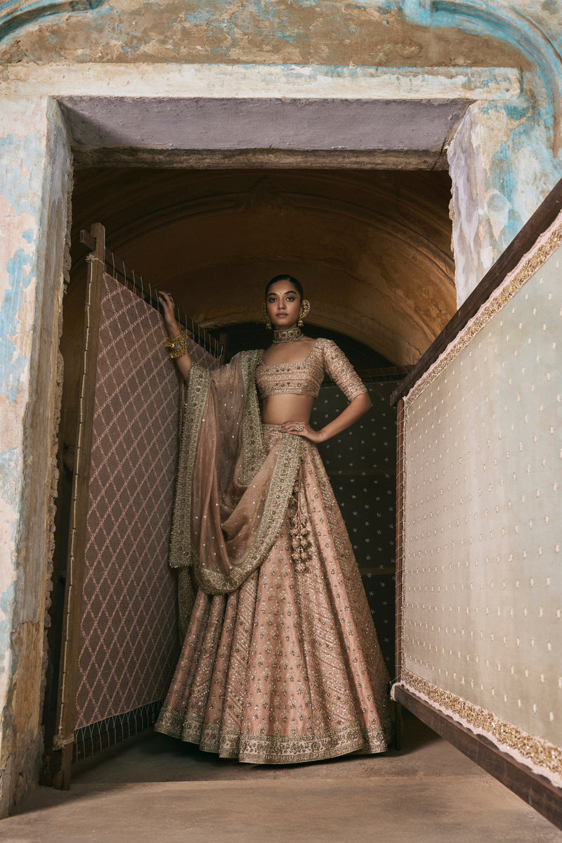 Rose Pink Panels Lehenga