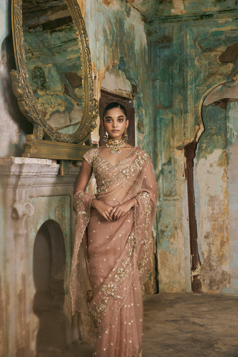 Old Rose Sequin And Moti Work Saree