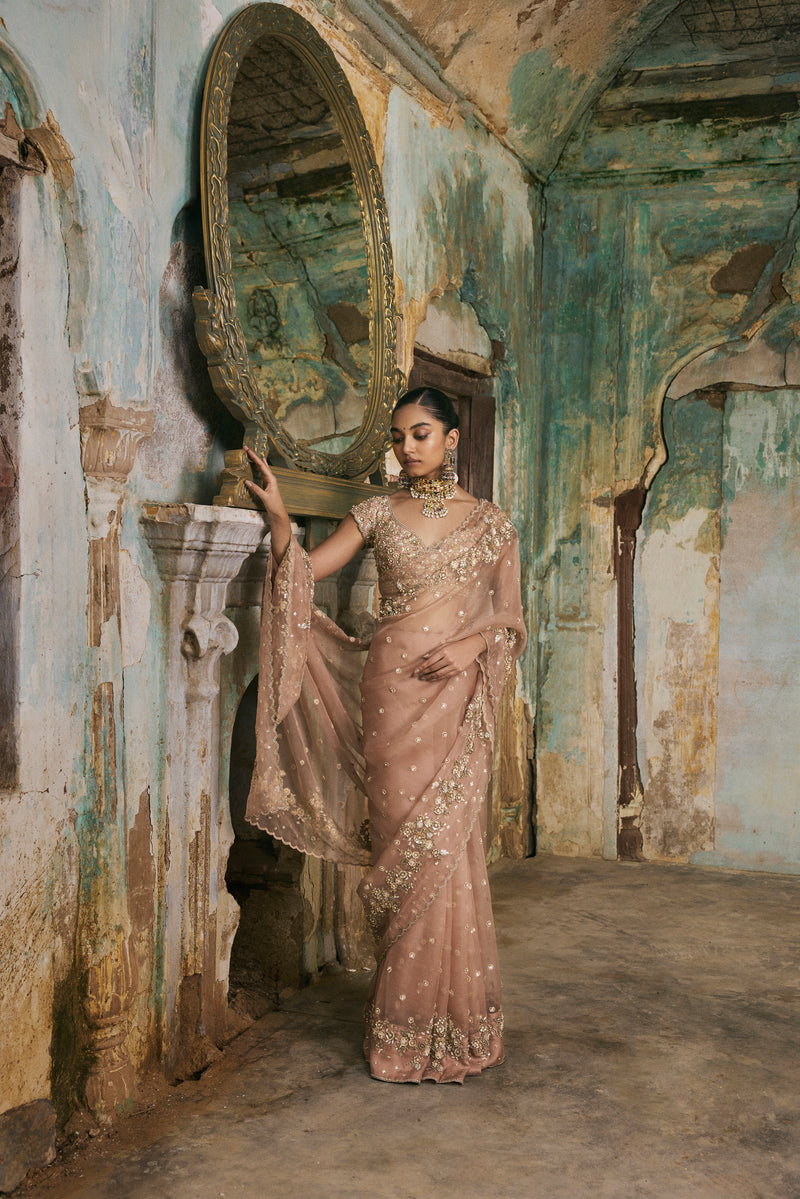 Old Rose Sequin And Moti Work Saree