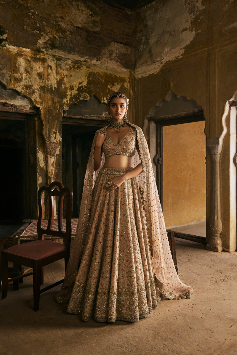 Peach Panels Lehenga