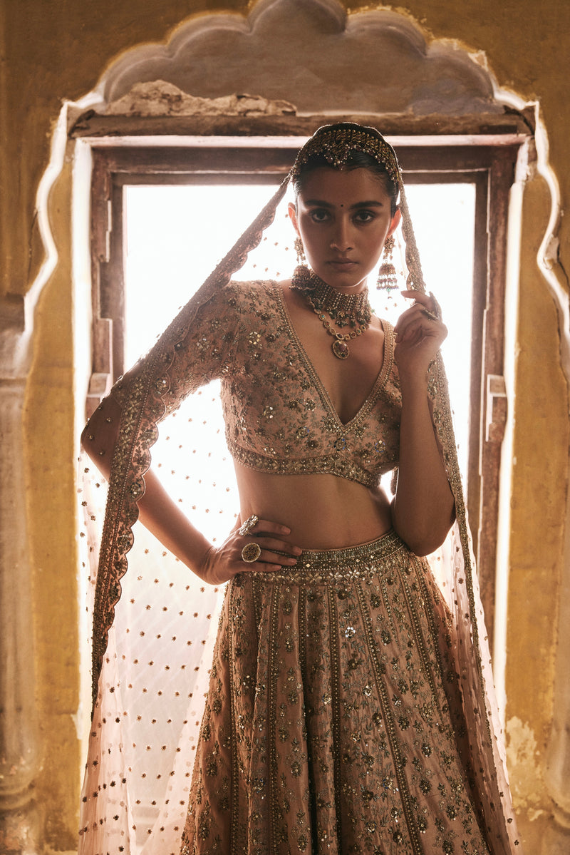 Peach Panels Lehenga