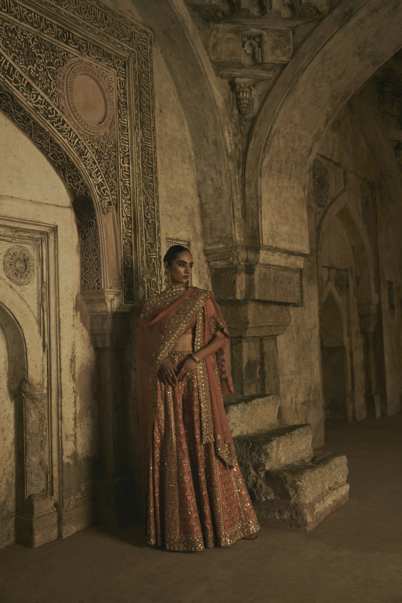 Rust Organza Cape With Sharara – arbyrheakapoor