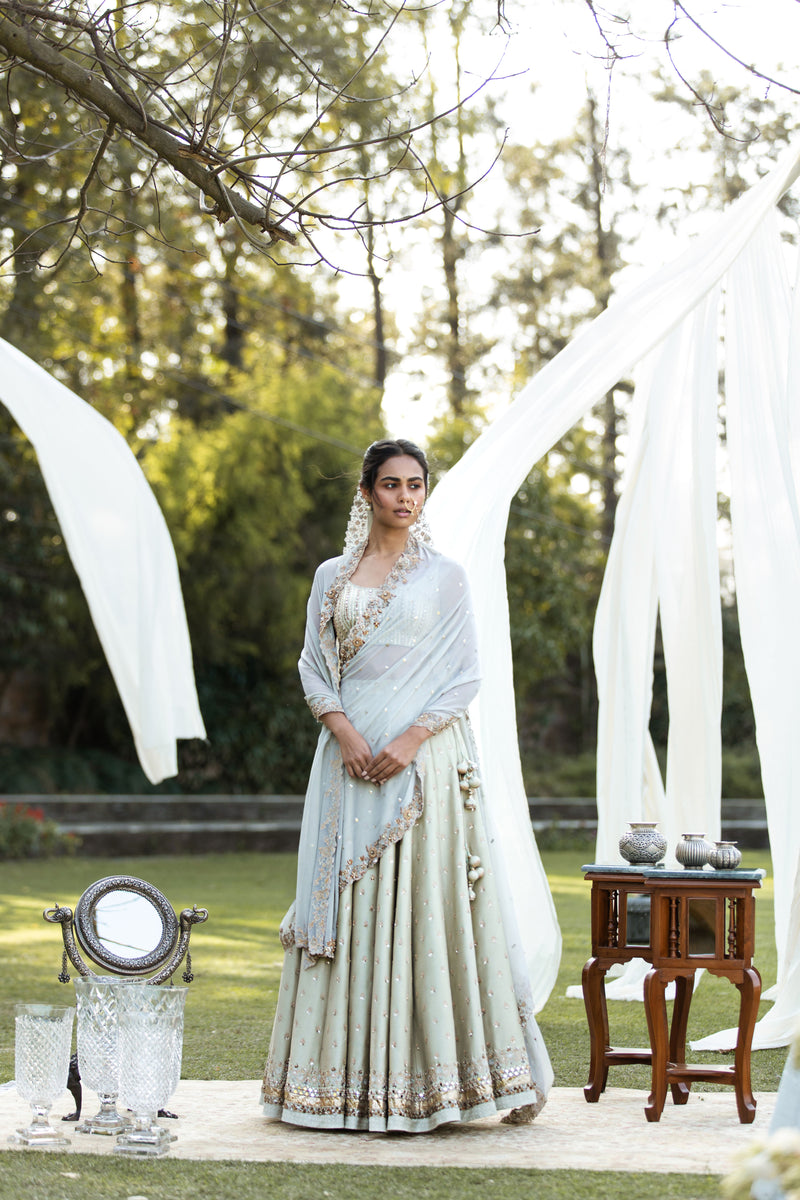 Aari Booti Lehenga Set